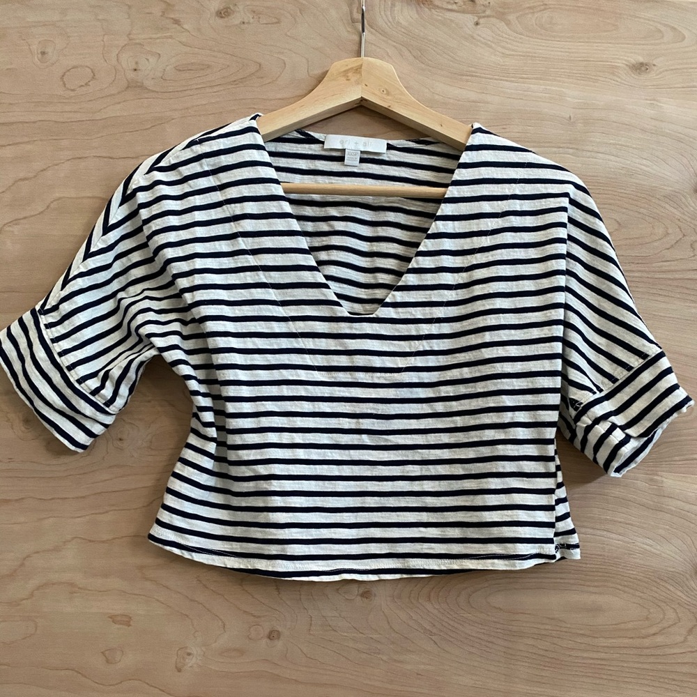 Eri + Ali Anthropologie Crop Top